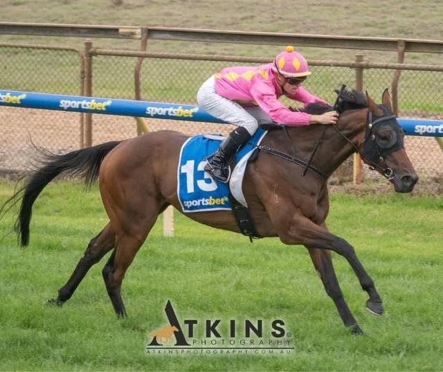 Hard Leaf Relishes The Wet Deck At Oakbank