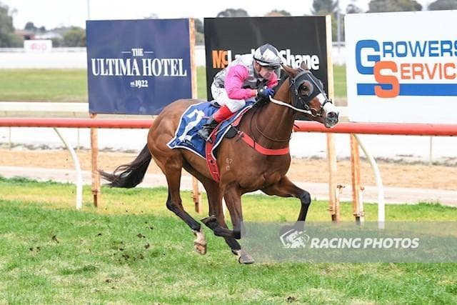 Picky a Stayer on the Rise
