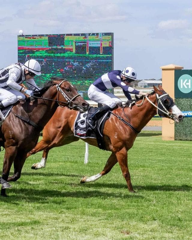 Joey Bounces to Victory in Stable Debut