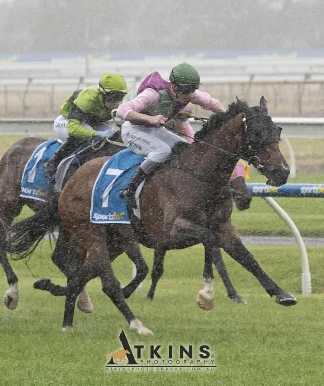 Caesar Reigns Supreme In Finals Day Victory - 22nd Nov 2025