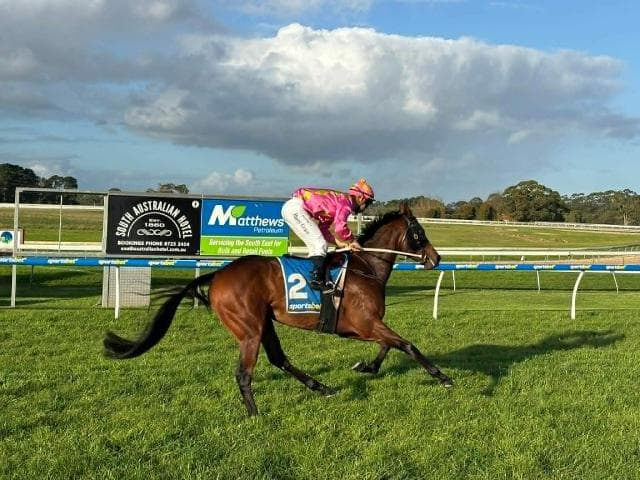 Hard Leaf Romps Home at the Mount