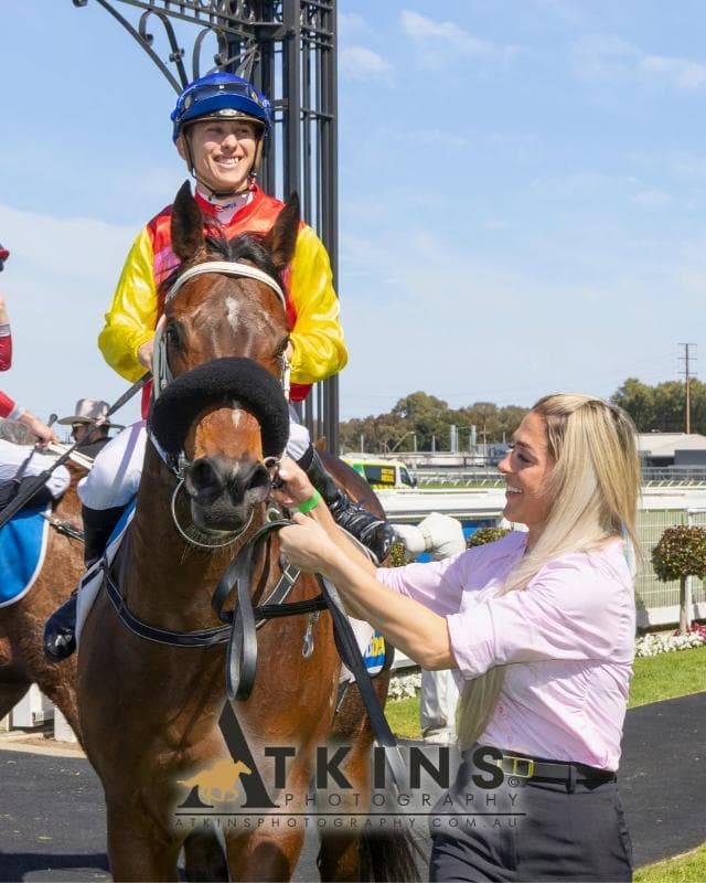 Big Bold Boyd Wins Again