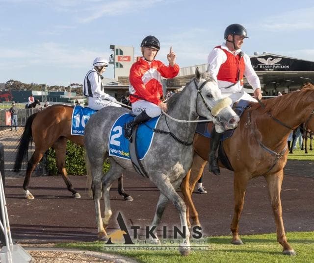 Silvaloa Shines At Gawler
