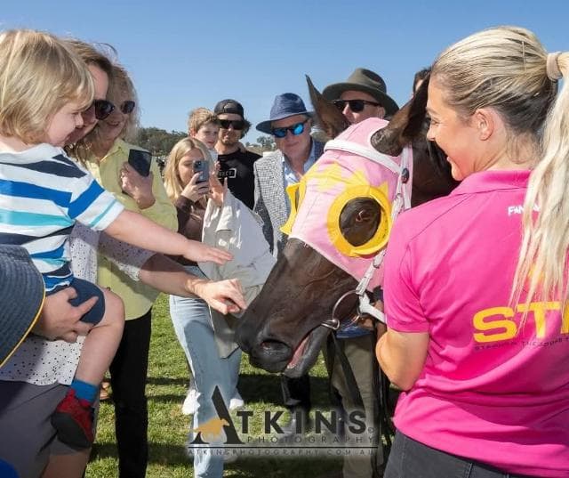 Sav & Noodles Easter Double At Oakbank